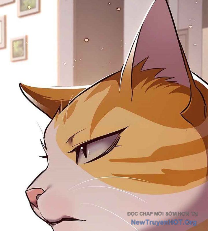 Hoá Thân Thành Mèo Chapter 370 - 174