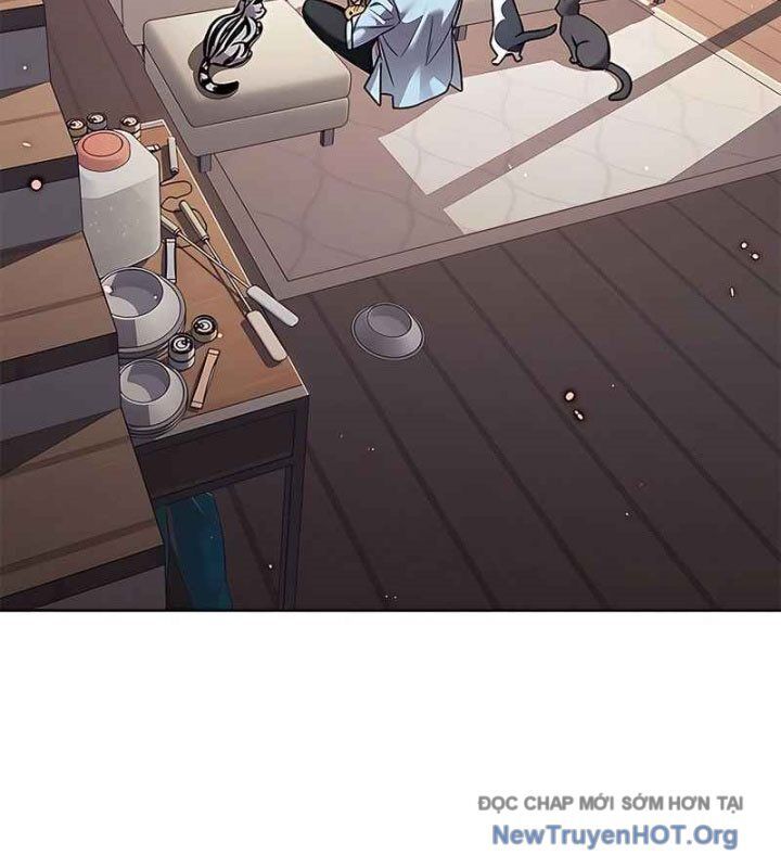 Hoá Thân Thành Mèo Chapter 370 - 43