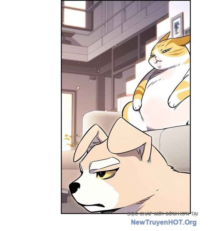 Hoá Thân Thành Mèo Chapter 370 - 52
