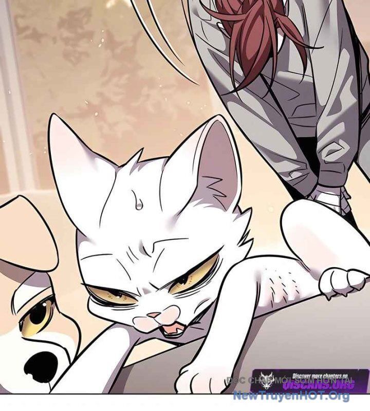 Hoá Thân Thành Mèo Chapter 370 - 64