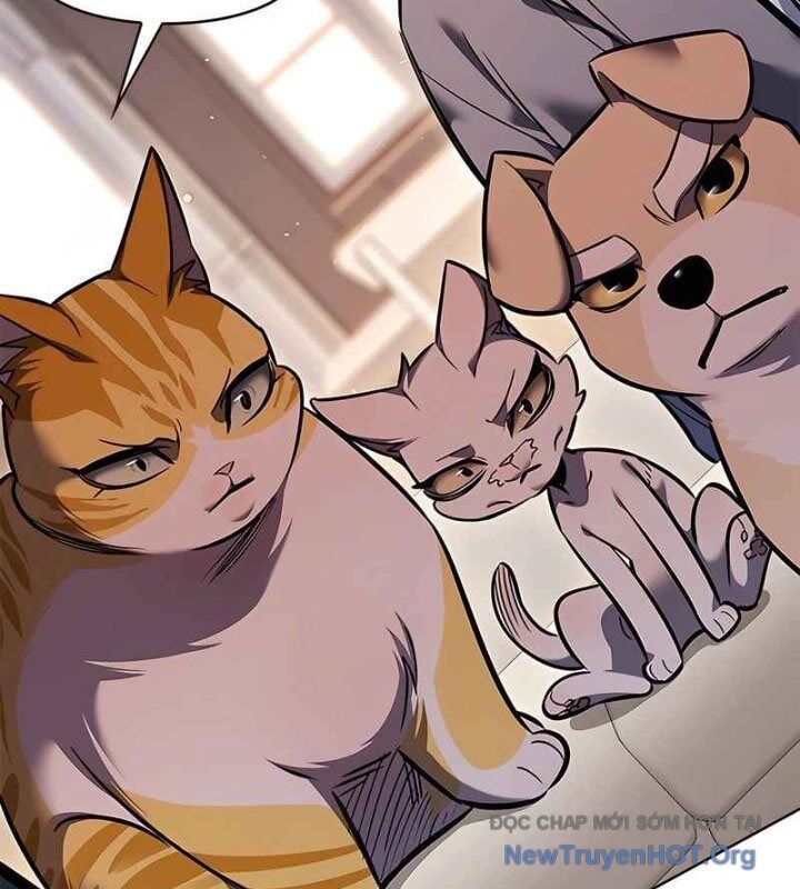 Hoá Thân Thành Mèo Chapter 370 - 97