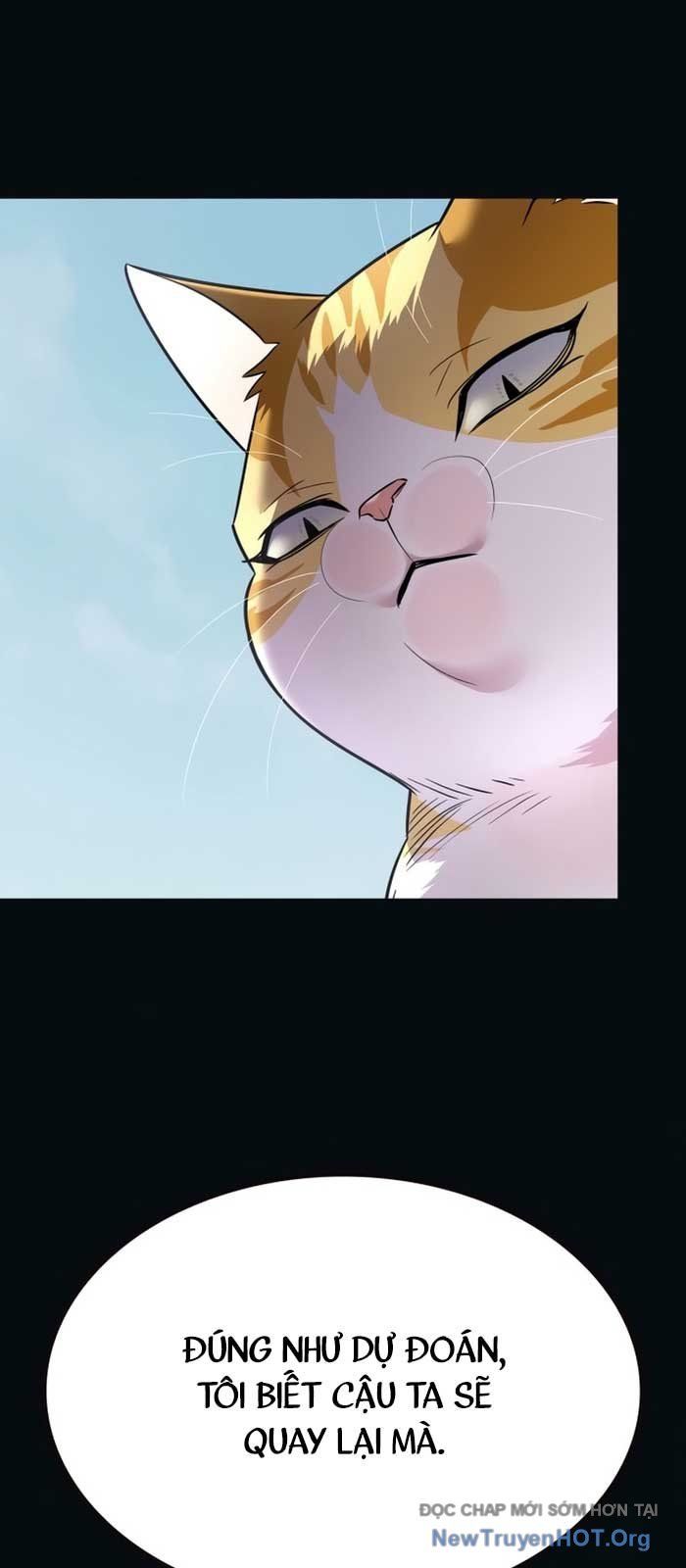 Hoá Thân Thành Mèo Chapter 371 - 18