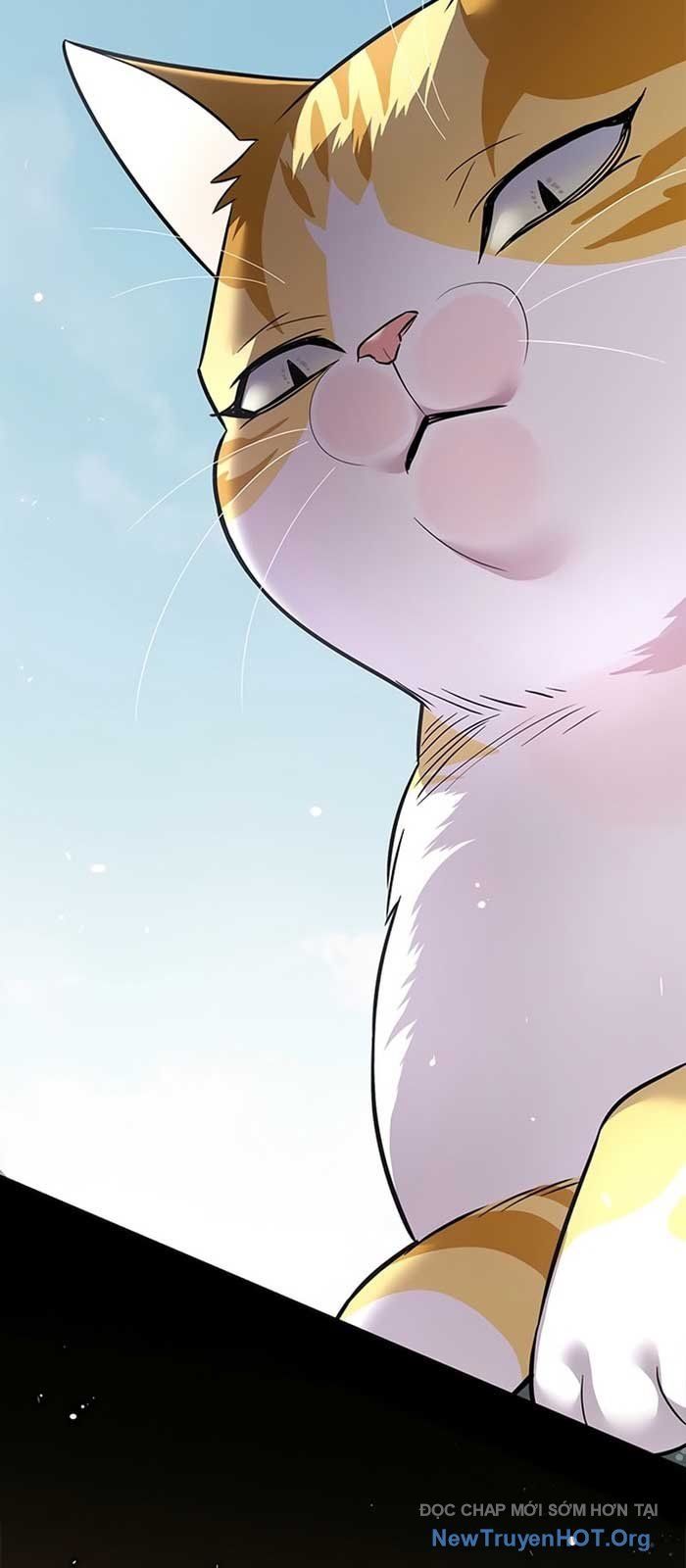Hoá Thân Thành Mèo Chapter 371 - 23