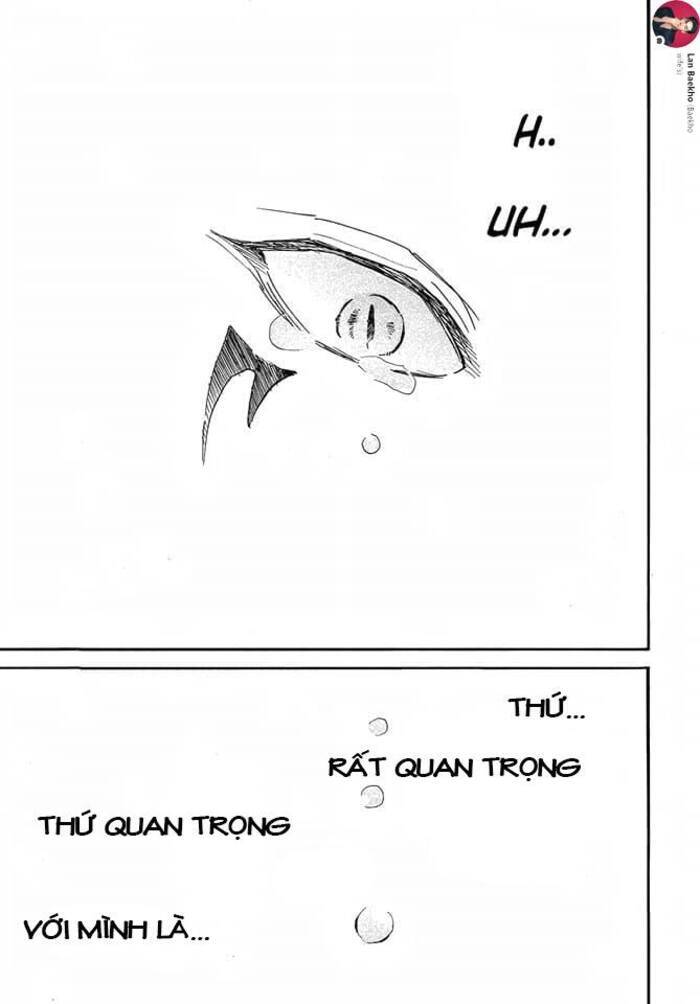 Đóa Hoa Bùng Cháy Chapter 249 - 27