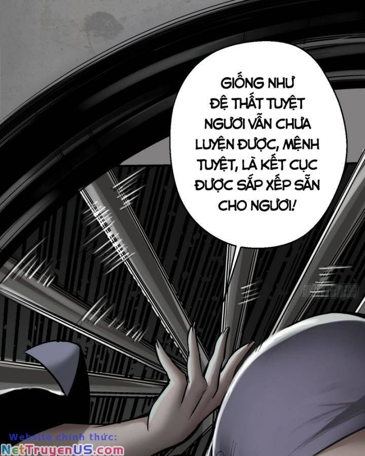 Tạng Phong Hành Chapter 206 - 43