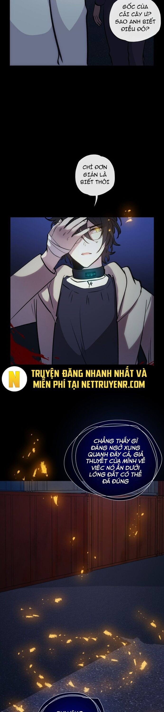 Trọng Sinh Mạc Thế Chapter 146 - 5