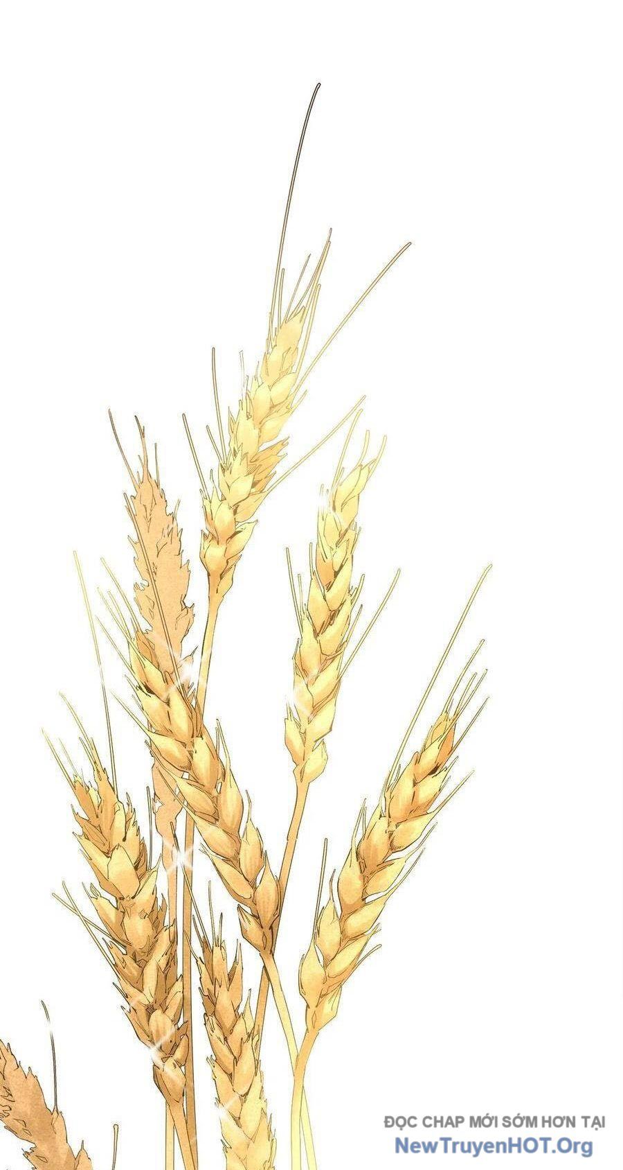 Hỏa Long Truyện Chapter 24 - 20