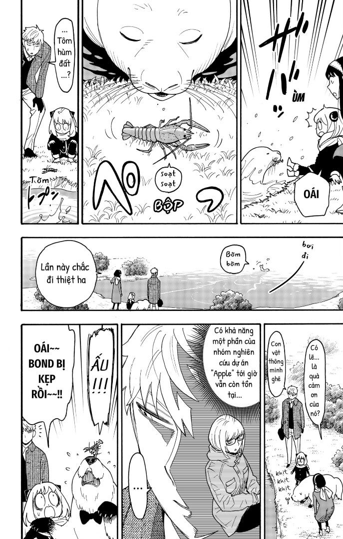 Gia Đình Điệp Viên Chapter 103 - 15