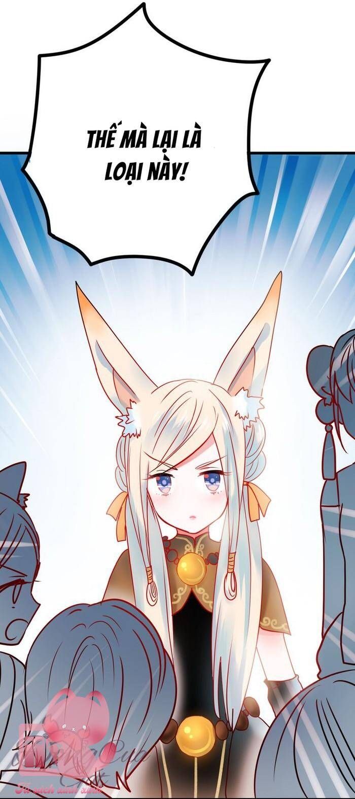 Thành Dã Tiêu Hà Chapter 12 - 22