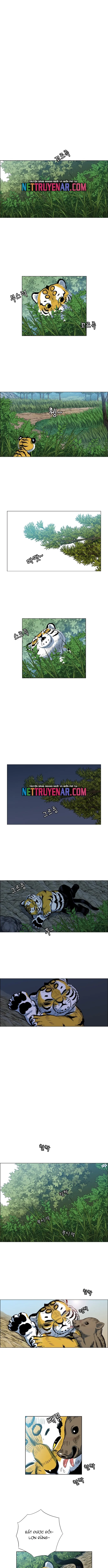 Anh Trai Tôi Là Hổ Chapter 101 - 9