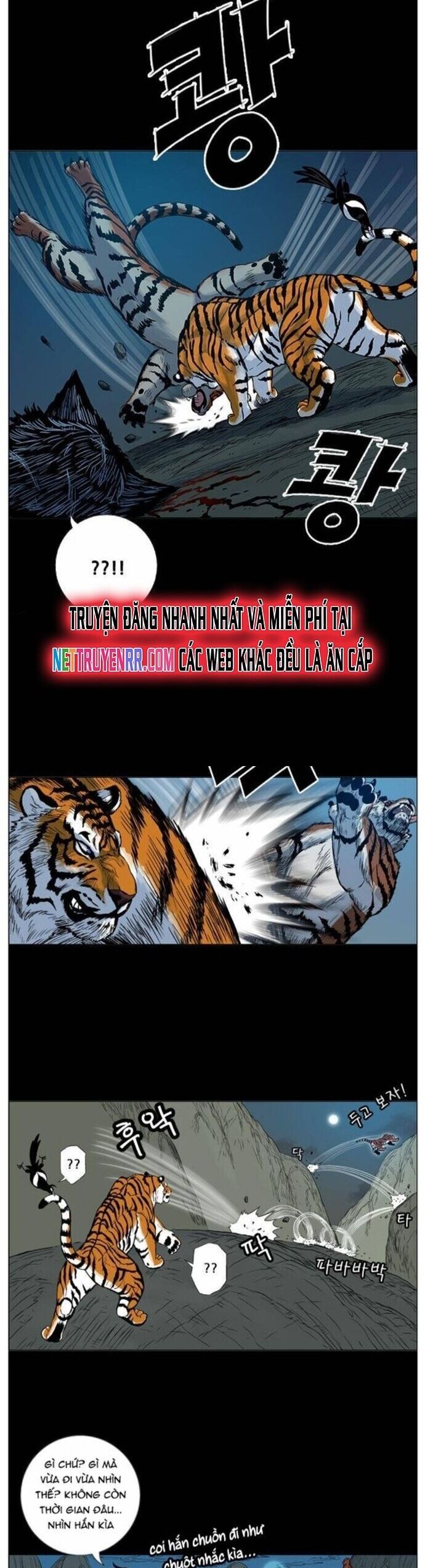 Anh Trai Tôi Là Hổ Chapter 62 - 22