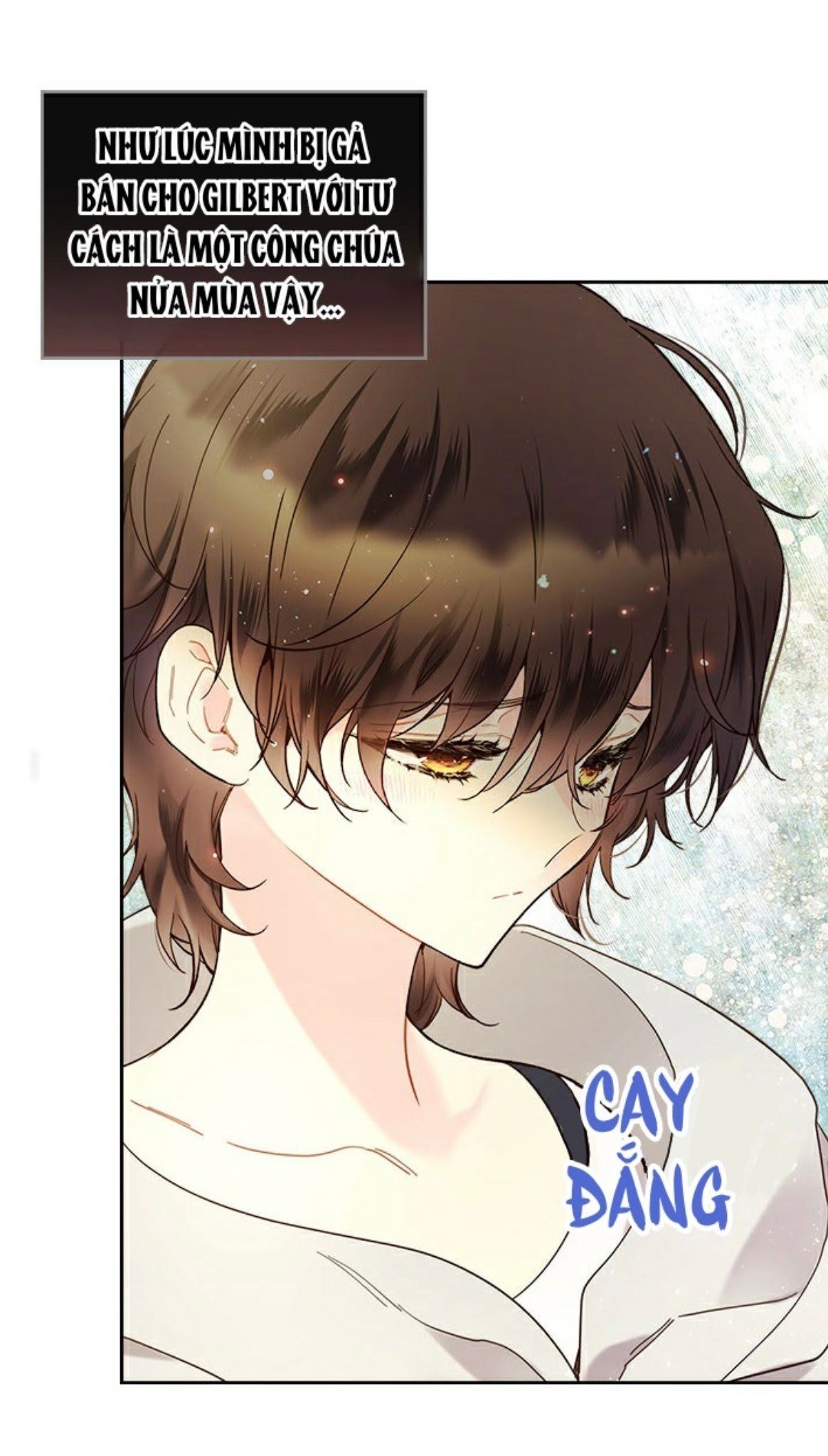 Công Chúa Chloe Chapter 60.3 - 9