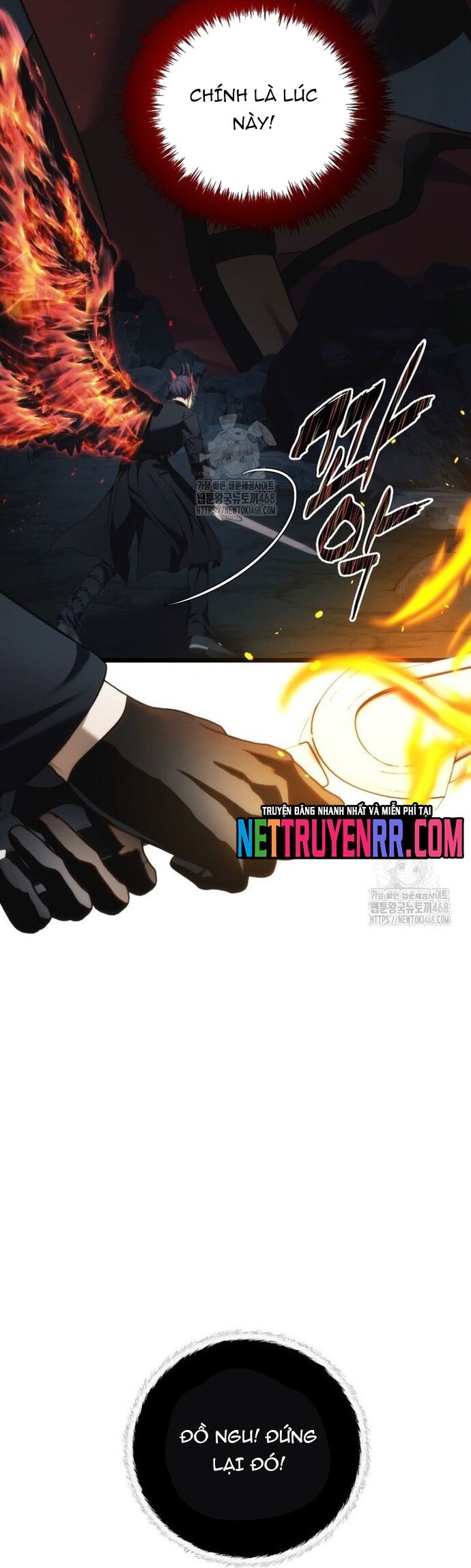 Vua Thăng Cấp Chapter 208 - 10