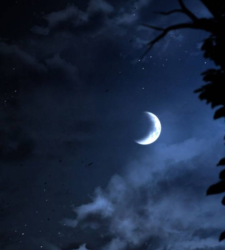 Hoàng Tử Đệ Tam Trở Lại Chapter 31 - 2