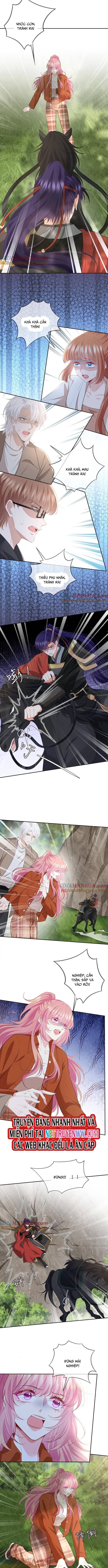 Danh Môn Chí Ái Chapter 468 - 4