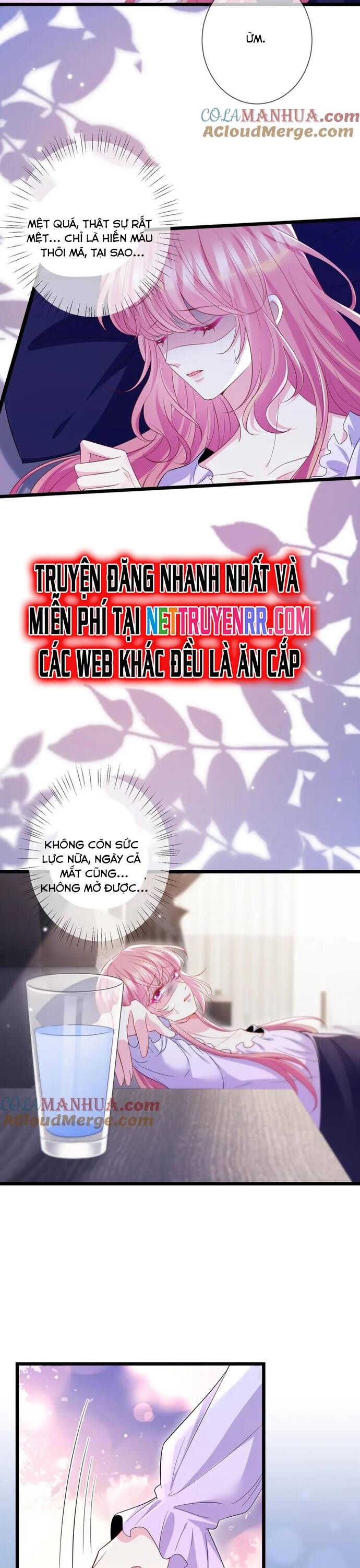 Danh Môn Chí Ái Chapter 501 - 16