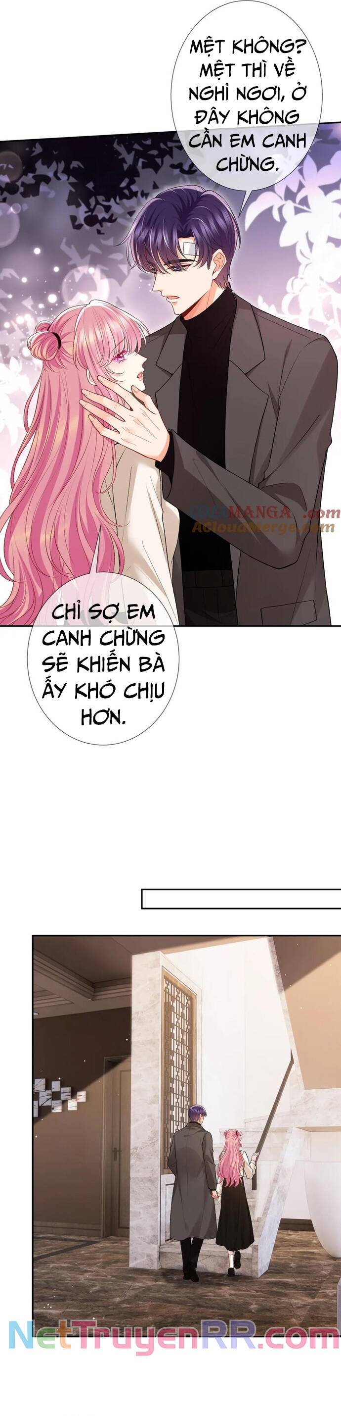 Danh Môn Chí Ái Chapter 504 - 11