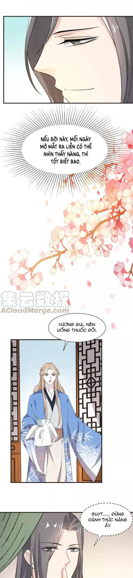 Trùng Sinh Chuyên Sủng Độc Phi Của Nhiếp Chính Vương Chapter 64 - 8