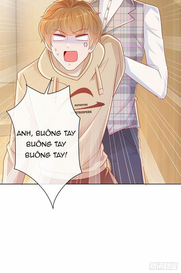 Ẩn Hôn 100%: Chọc Tức Vợ Yêu Mua Một Tặng Một Chapter 264.2 - 12