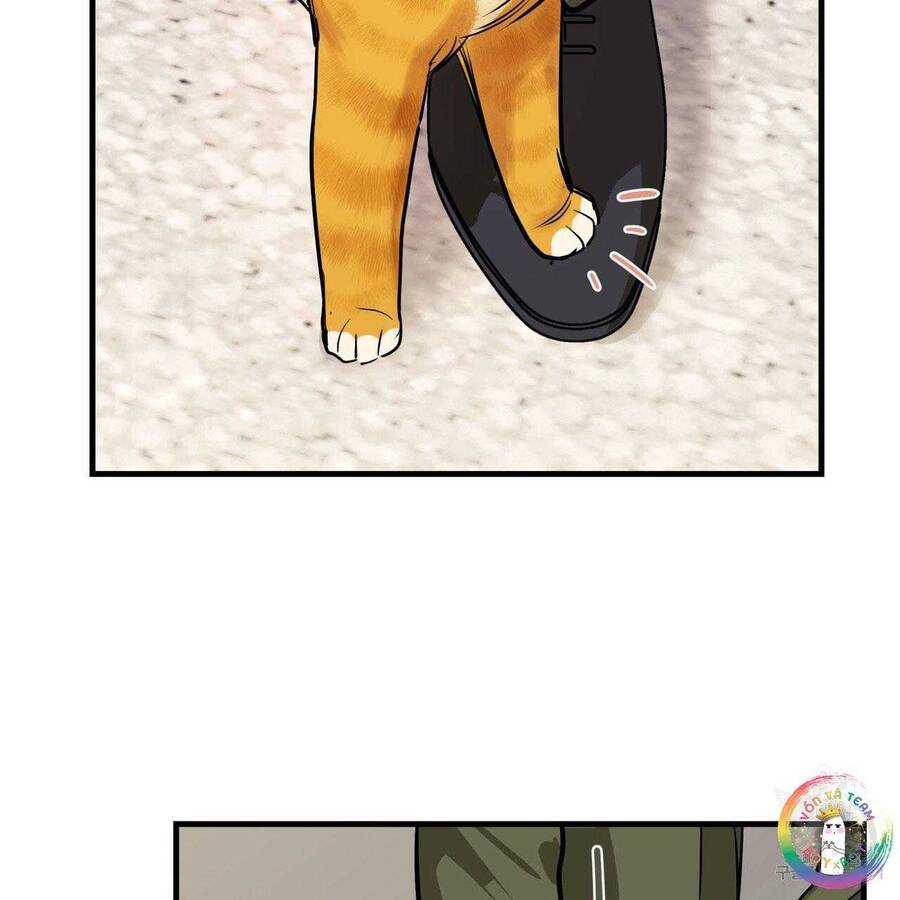 Người Lạ Trong Gương Chapter  13 - 28