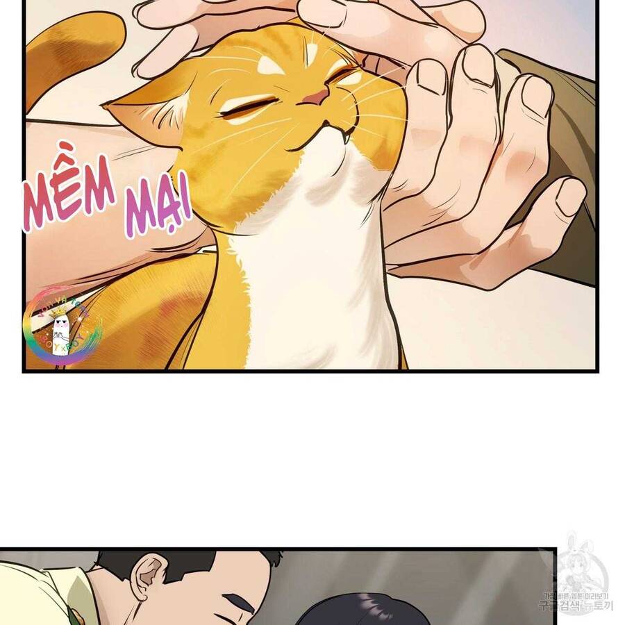 Người Lạ Trong Gương Chapter  13 - 34