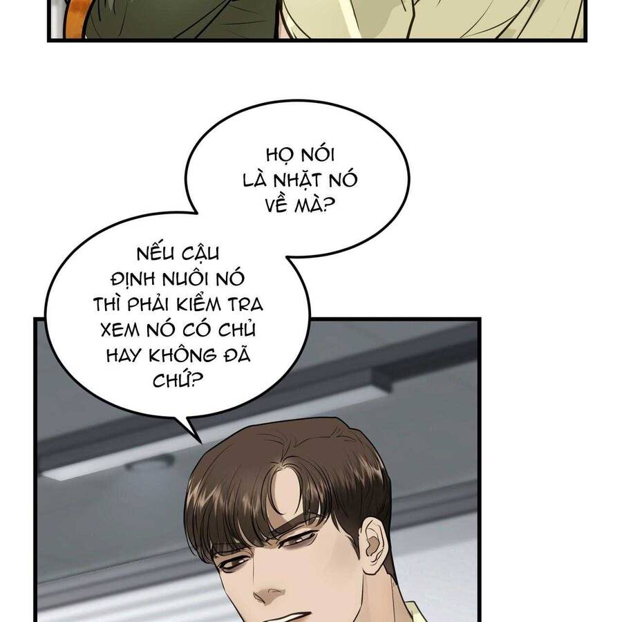 Người Lạ Trong Gương Chapter  13 - 43