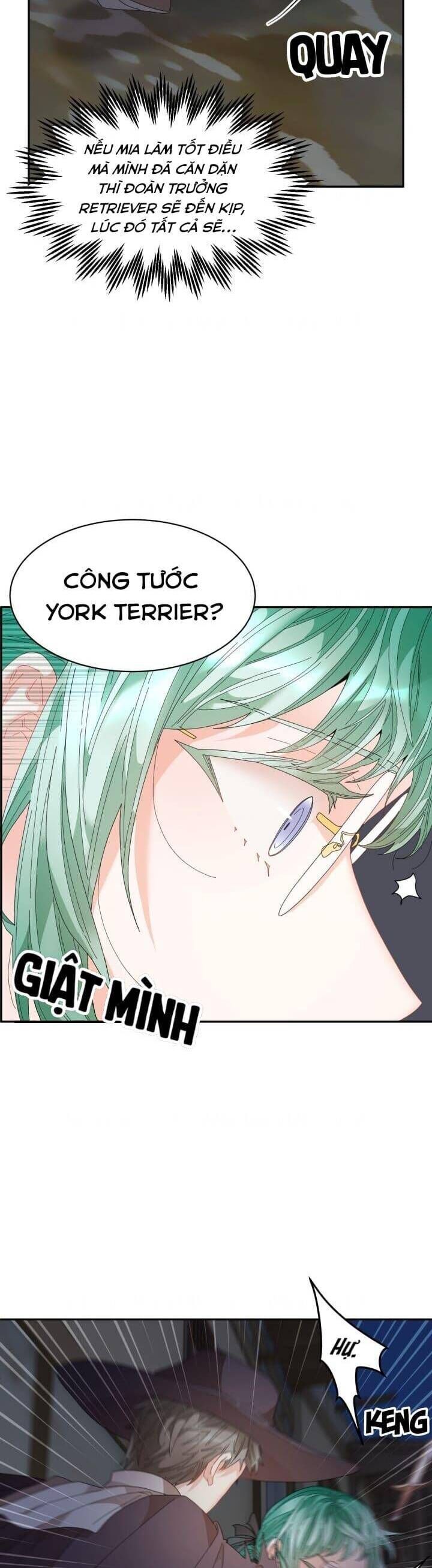 Tôi Không Muốn Trở Thành Hoàng Hậu Chapter 90 - 3