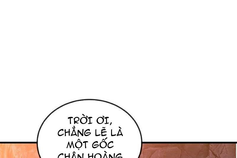 Cái Thế Đế Tôn Chapter 411 - 64