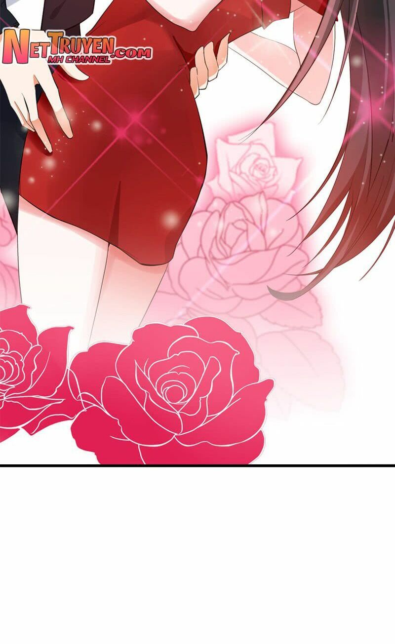 Trùng Sinh Không Gian: Cô Vợ Hào Môn Nóng Bỏng Không Dễ Chọc Chapter 0 - 22