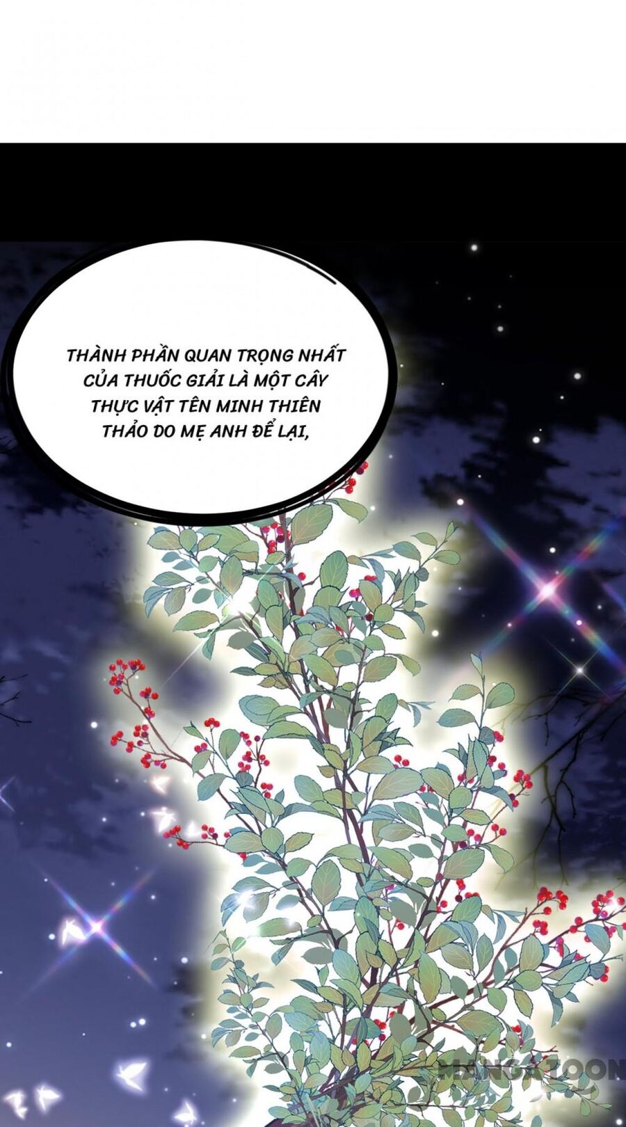 Trùng Sinh Không Gian: Cô Vợ Hào Môn Nóng Bỏng Không Dễ Chọc Chapter 374 - 25