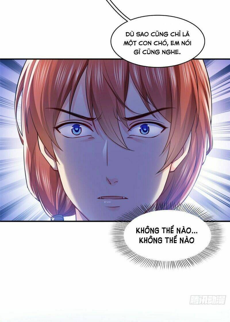 Hệt Như Hàn Quang Gặp Nắng Gắt Chapter 148 - 13