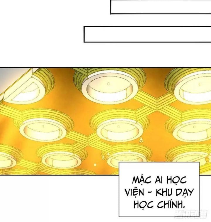 Ta Nhặt Được Thuộc Tính Tại Tu Chân Giới Chapter 220 - 38