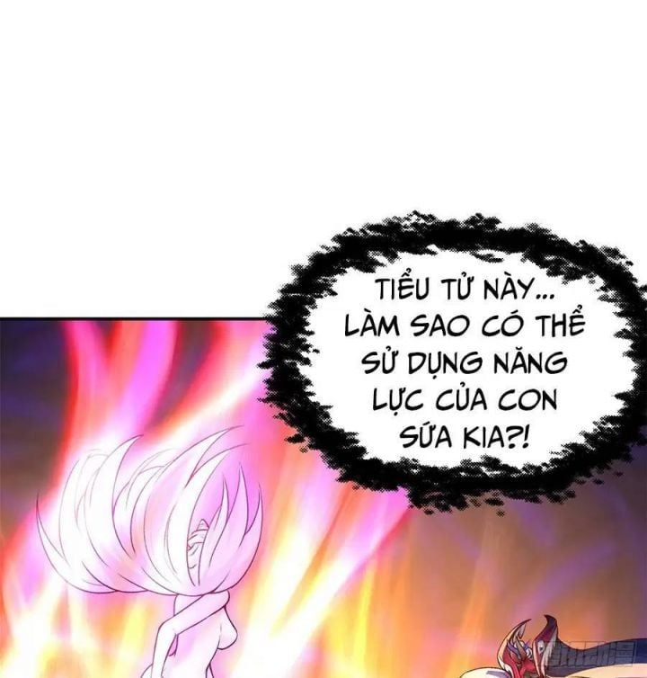 Ta Nhặt Được Thuộc Tính Tại Tu Chân Giới Chapter 224 - 15