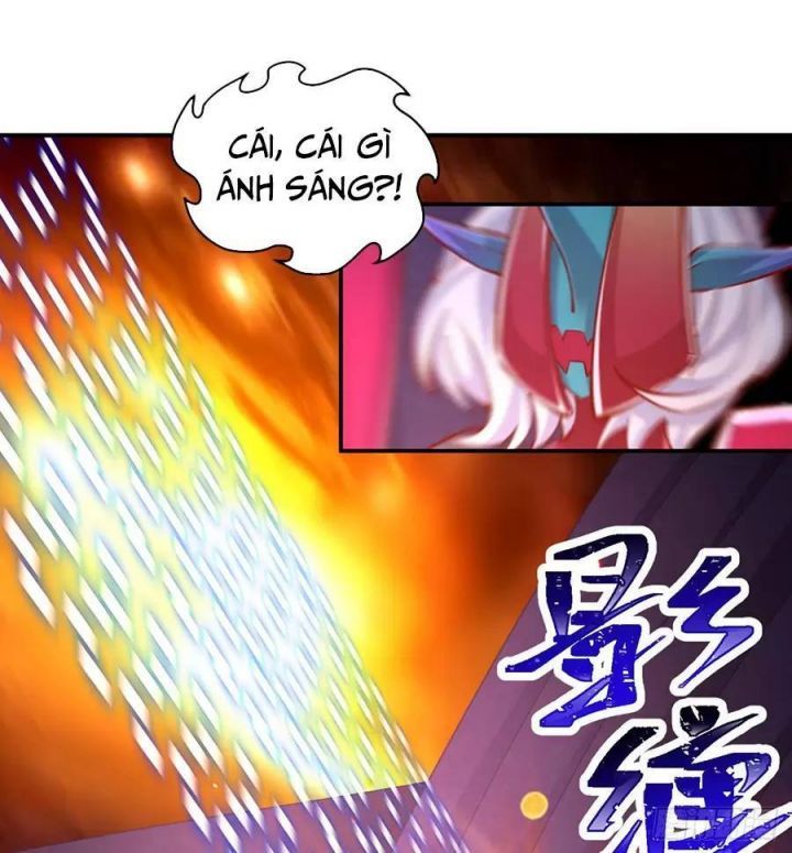 Ta Nhặt Được Thuộc Tính Tại Tu Chân Giới Chapter 224 - 24