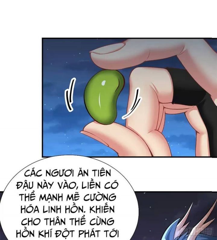 Ta Nhặt Được Thuộc Tính Tại Tu Chân Giới Chapter 238 - 34