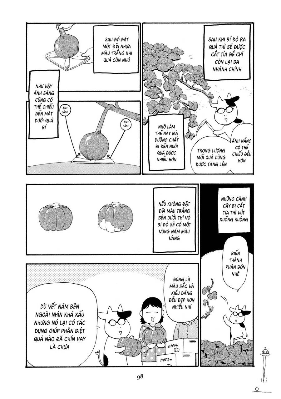 Quý Tộc Nhà Nông Chapter 36 - 5