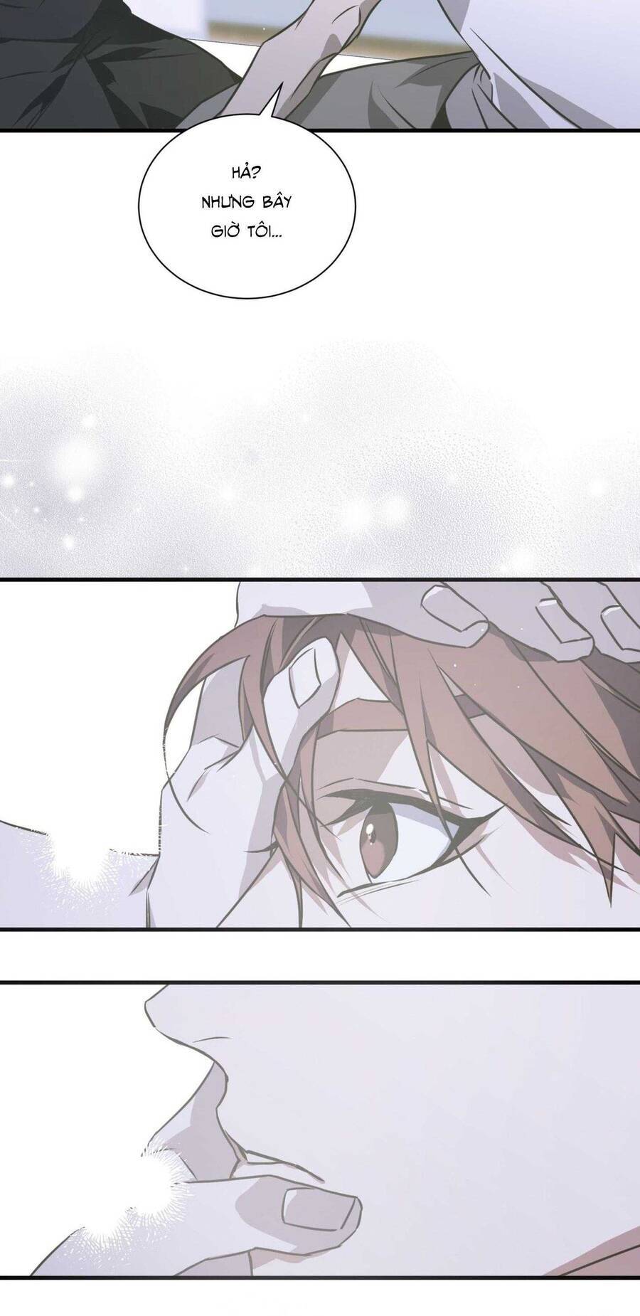 Sau Ánh Hào Quang Chapter  14 - 46