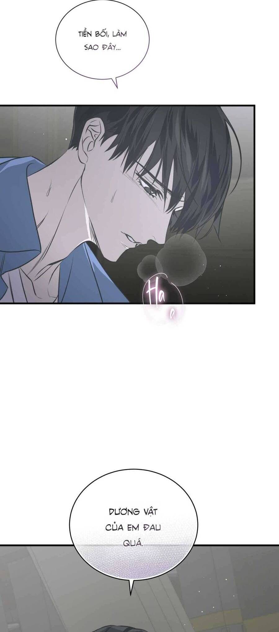 Sau Ánh Hào Quang Chapter 22 - 51