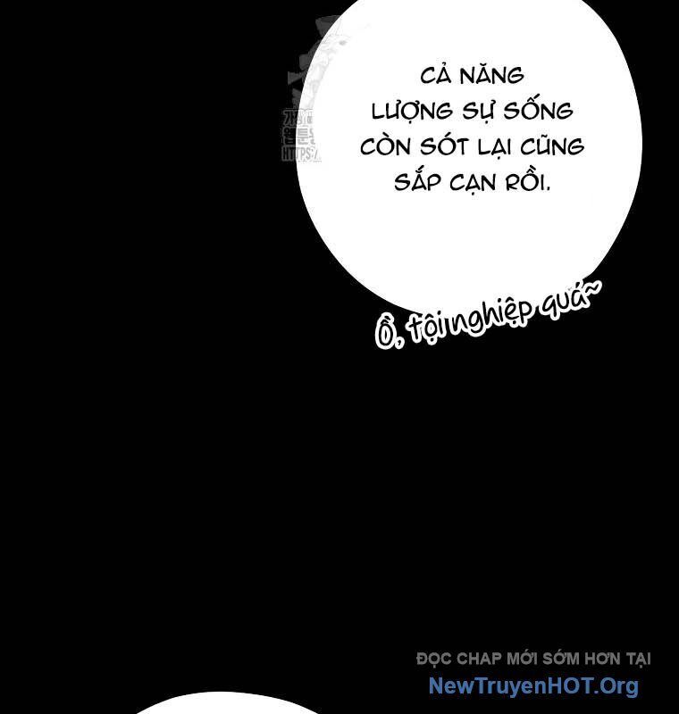 Tái Thiết Hầm Ngục Chapter 257 - 9