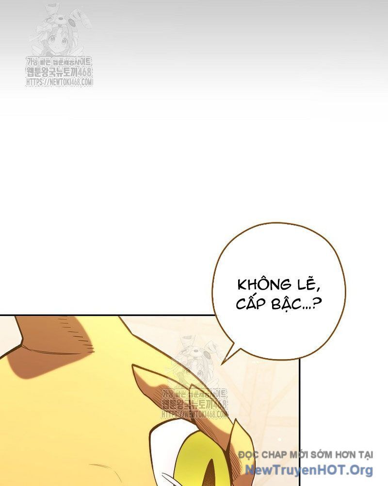 Tái Thiết Hầm Ngục Chapter 260 - 17