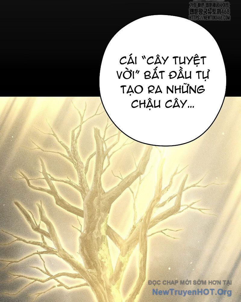 Tái Thiết Hầm Ngục Chapter 260 - 37