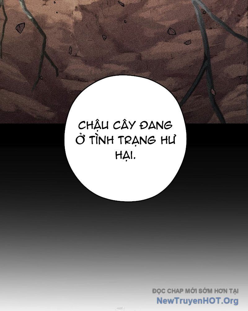 Tái Thiết Hầm Ngục Chapter 260 - 41