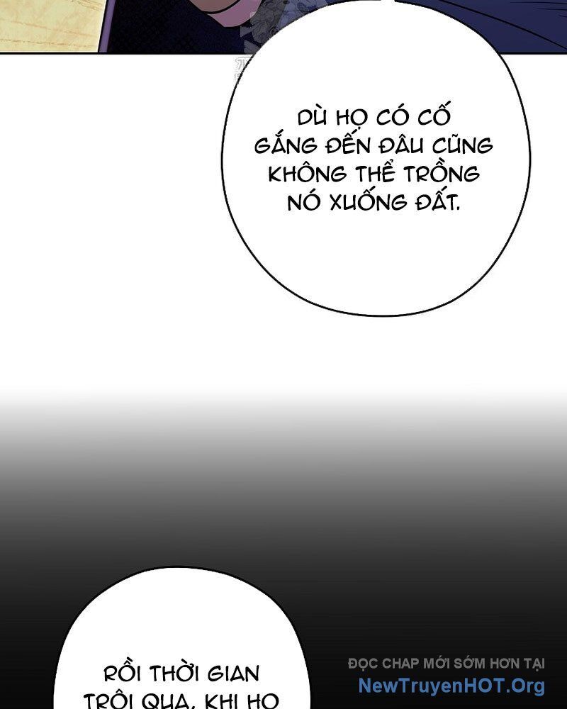 Tái Thiết Hầm Ngục Chapter 260 - 8