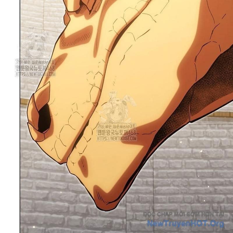 Tái Thiết Hầm Ngục Chapter 264 - 167