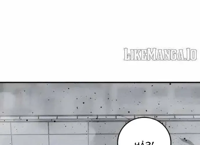 Kẻ Giết Anh Hùng Chapter 239 - 206