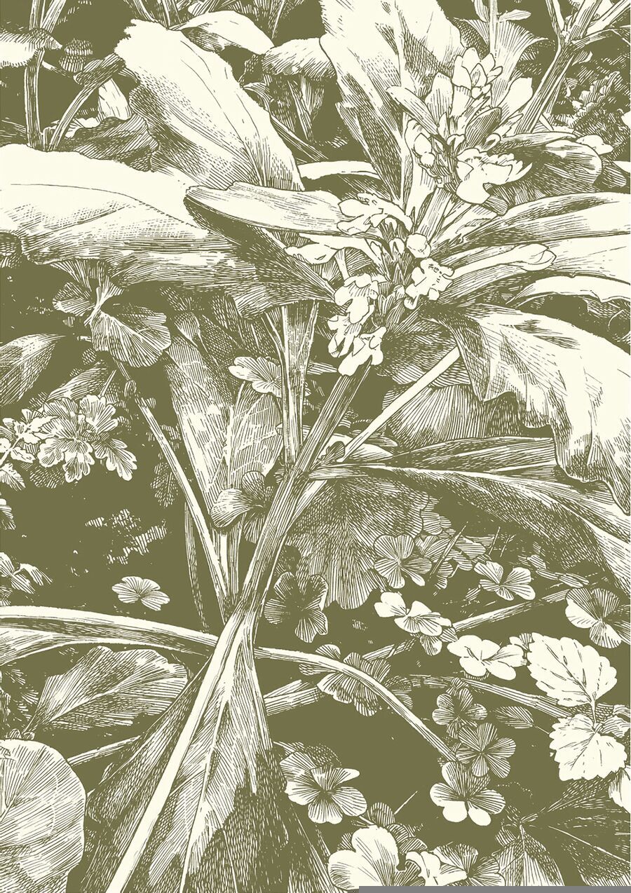 Cuộc Sống Tí Hon Trong Rừng Sâu. Chapter 63 - 3