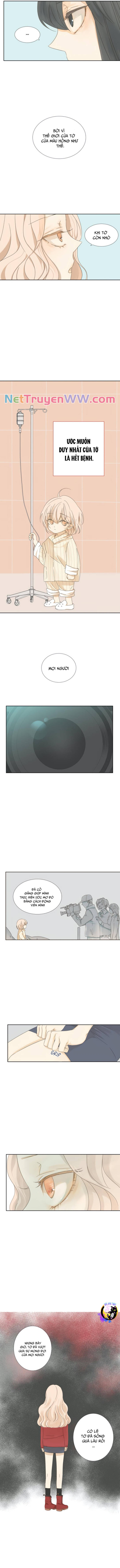 Cô Nàng Sắc Sảo Chapter 9 - 6