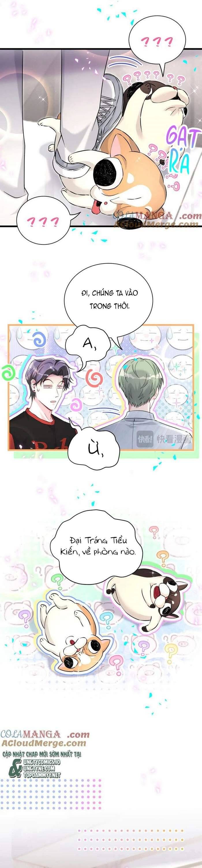 Đứa Bé Là Của Ai ???? Chapter 287 - 16