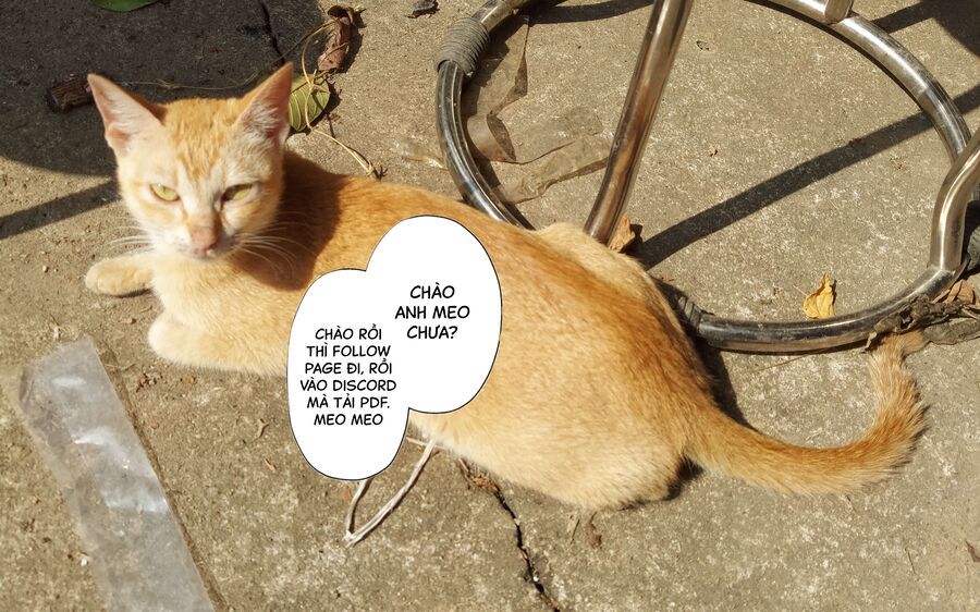 Thiên Sứ Nhà Bên Chapter 25.2 - 13