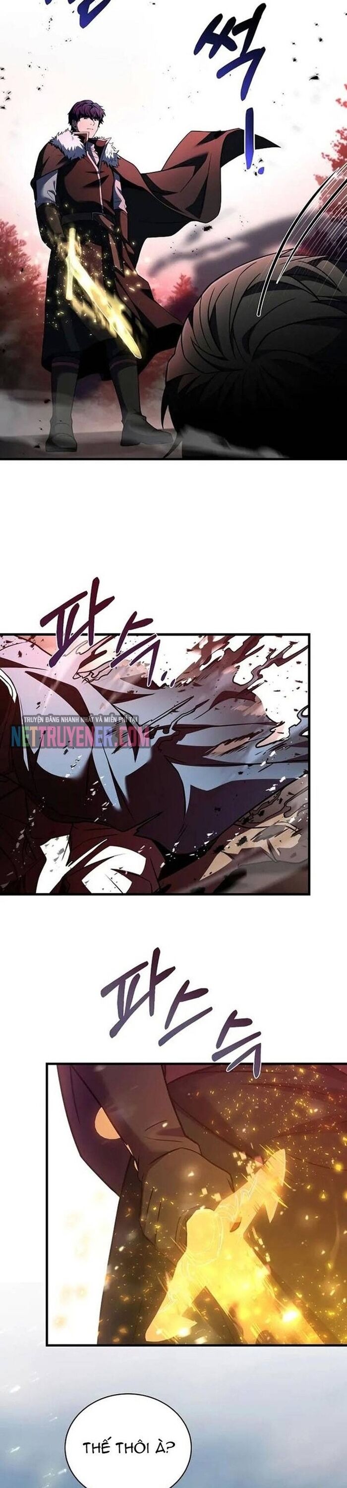 Sự Trở Lại Của Pháp Sư 8 Vòng Chapter 148 - 19